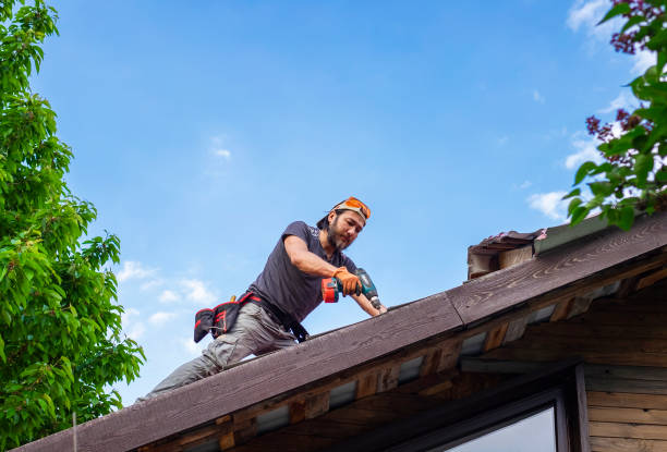 Best Storm Damage Roof Repair  in Level Park Oak Park, MI